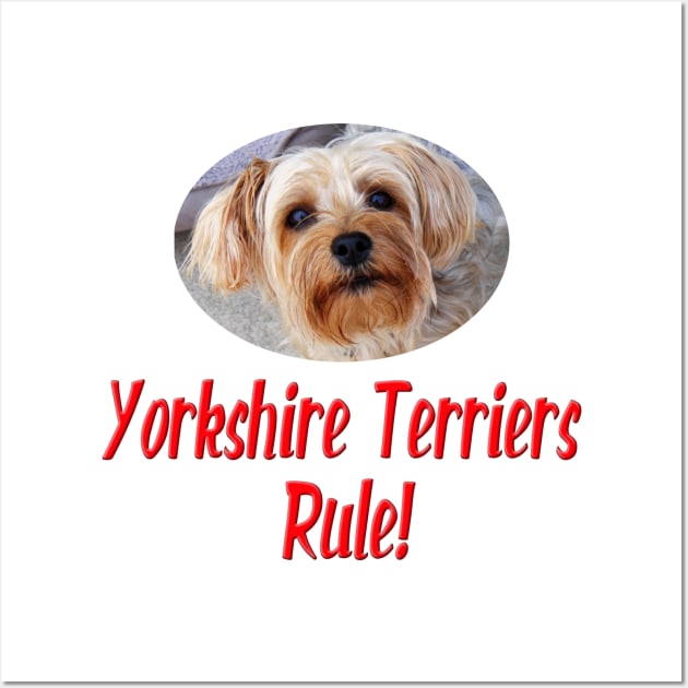 Yorkshire Terriers Rule! Wall Art by Naves